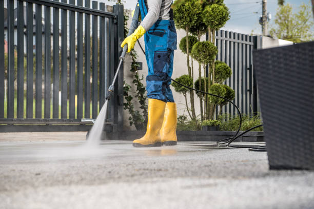 Best Solar Panel Cleaning  in Pomona, NJ