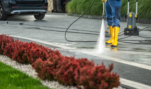 Best Dumpster Area Cleaning  in Pomona, NJ