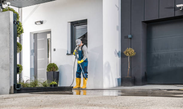 Best Paint Preparation  in Pomona, NJ
